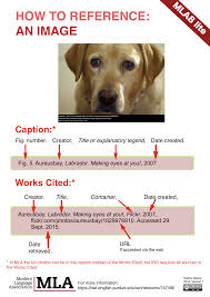Mla8 Lite Mla8 Guide Libguides At Canadian International School Singapore Image Caption Guide International School