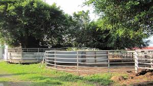 Corral de ganado en el monte arenas. Estudiando Agricultura En Taiwan Corrales Para Ganado