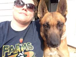 The Homeless Pet Population in The South