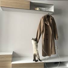 chto proishodit s instagram akkauntom posle smerti ego vladelca menya tozhe interesoval etot vopros est dva puti libo instagram smert