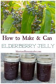 How to make and can elderberry jelly