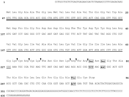 Umywalka to nieodłączna część każdej łazienki. Regulation Of Na K Atpase By Plms The Phospholemman Like Protein From Shark Journal Of Biological Chemistry