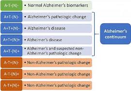 New Biological Research Framework For Alzheimers To Spur