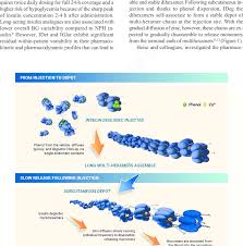 Insulin Degludec Depot Deposit Zn Zinc Modified From