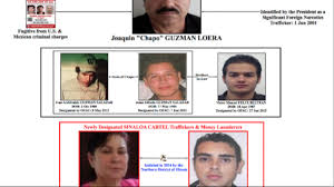 Here is the unredacted mugshot of ovidio guzman, the son of convicted sinaloa cartel drug lord el chapo, who was just arrested in culiacán. Mexico Says It Arrested A Top Female Member Of The Sinaloa Cartel