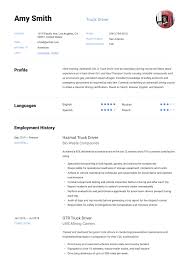truck driver resume & writing guide
