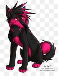 Watch anime online on kissanime we can watch and download high quality anime episodes for free no register needed. Free Download Cat And Dog Cartoon Png Cleanpng Kisspng