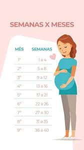 Calcular Quantas Semanas De Gestação Estou Calculo De Semanas Meses Da Gestacao Em 2020 Gravidez Semana A Semana Tabela De Gravidez Meses De Gravidez