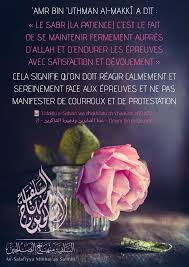 Epingle Sur Fawa Id