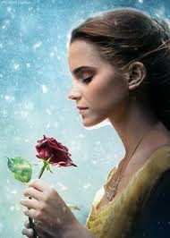 Beauty and the beast is the fantastic journey of belle, a bright, beautiful and independent young woman who is taken prisoner by a beast in his castle. 48 Best Emma Watson Beauty And The Beast Ideas Emma Watson Beauty And The Beast Emma