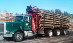 Want to know where to find free firewood to fuel your wood stove and heat the room this winter? Tree Length Firewood For Sale Ma Ct Ri Hull Forest Products
