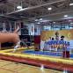 Puppy Pals Comedic Stunt Dog Show