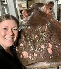 Sharing affection for Tucker the hippo