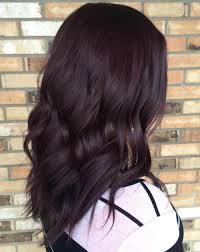 Black hair lets the colors do their job! 50 Shades Of Burgundy Hair Color Dark Maroon Red Wine Red Violet