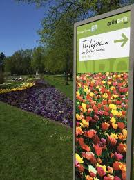 Tulipan 2020 — die tulpenausstellung wurde abgesagt. Tulipan Tulpenfestival Im Britzer Garten Berlin 21 April 2018 Gartenclub Com