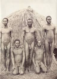 Five nude African men, in front of a hut. | Wellcome Collection