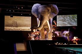 Discover the world of naturalis, europe's leading premium cannabidiol retailer. Naturalis And Cosmocaixa Win At The European Museum Of The Year Awards Ecsite