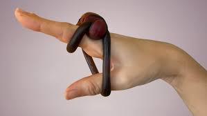 Put a Ring on It!: How Seniors Can Achieve a Better Sex Life with  Erection Rings | Sex For Every Body®