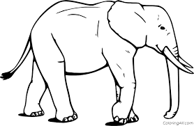 Download and print these free printable of elephant coloring pages for free. Walking Realistic Elephant Coloring Page Coloringall