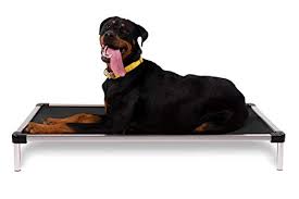 How do i stop my dog from tearing up his dog bed? K9 Ballistics Pet Supplies South Africa Buy K9 Ballistics Pet Supplies Online Wantitall