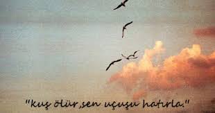 Kus Olur Sen Ucusunu Hatirla Guzel Soz Kus Sozleri Ozlu Sozler