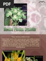 Image result for Polystachya songaniensis