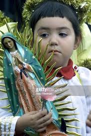 276 Jackson And Perkins Photos & High Res Pictures