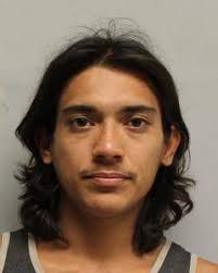 Hilo man accused of assaulting officers