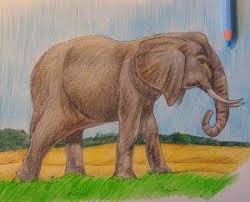 Pensil warna ini memiliki kelebihdan dan juga kekurangan. Kami Menggambar Dengan Anak Anak Secara Bertahap Cara Mudah Menggambar Gajah Untuk Anak Anak Kami Menggambar Gajah Langkah Demi Langkah Kelas Master Untuk Anak Anak Dengan Instruksi Foto Yang Indah