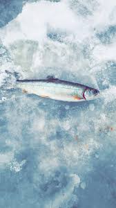 Copper Harbor ice fishing recommendations for splake and lake trout