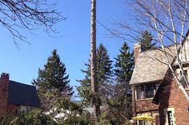 Armstrong Tree Services