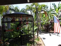Leopard caged & sent to bannerghatta national park. Garden With Caged Birds Picture Of Jerry S Foods Sanibel Island Tripadvisor