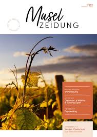 Muselzeidung 502 by Presss sarl