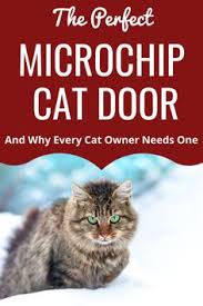 On the other hand some may prefer to install their cat flap right into their existing doors. 32 Cat Door Cat Door Ideas Cat Door Cat Flap Cats