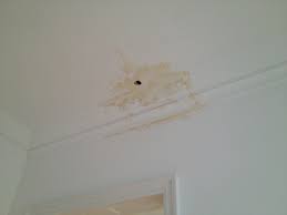 Wasserschäden können schnell zu größeren schäden an haus und wohnung führen! Stuck Belz Blog 2013