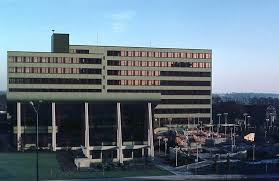 Pin On Amira S World