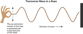 Some waves are not purely transverse or longitudinal. Transverse Wave Longitudinal Wave Waves Physical Science