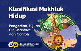 Organisme dibedakan menjadi 2 jamur memperoleh makanan dari makhluk hidup lain (parasit) maupun dengan cara menyerap dari keempat sistem klasifikasi yang sudah disebutkan sebelumnya tadi belum memsukkan virus. Klasifikasi Makhluk Hidup Dosenpintar Com