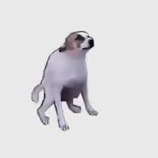 They must be uploaded as png files, isolated on a transparent background. Download Gif Dancing Dog Png Gif Base