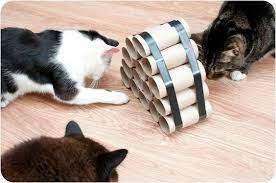 10 Best Diy Cat Toys From Pinterest Canadian Living Diy Cat Toys Homemade Cat Toys Cat Diy
