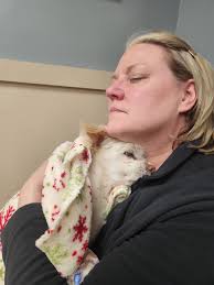 It a week today I lost my handsome baby boy Dexter seen here