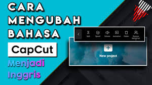 Misalnya untuk bunga anyelir warna merah jambu melambangkan kasih sayang abadi terhadap ibu, bunga anyelir merah melambangkan persahabatan juga kekaguman. Cara Mengubah Bahasa Inggris Di Capcut Youtube