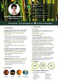 Currículum vitae joven en español. Curriculum Vitae Integradora Social Domestika