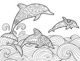 epingle sur coloring pages coloriage de chat fantaisiste