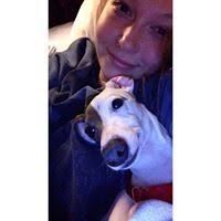 Lauren Taber (lrnntbr)