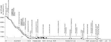 Image result for Acacia rovumae