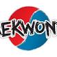 TAEKWONDO – Adult Class (Ages 13+)