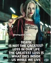 Pin On Harley