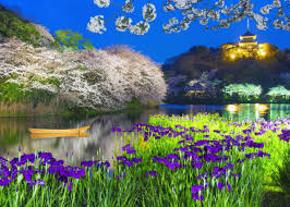 Iris flowers large flowers my flower purple flowers beautiful flowers cut flowers beautiful gardens buy plants for a japanese garden. Ultimate Japanese Flowers Guide When Where To See 20 Famous Flowers Of Japan 2020 Edition Live Japan Travel Guide