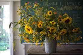 Water in the early morning, so foliage has time to dry. Harvest Care Tips For 10 Heat Loving Summer Blooms Floret Flowers